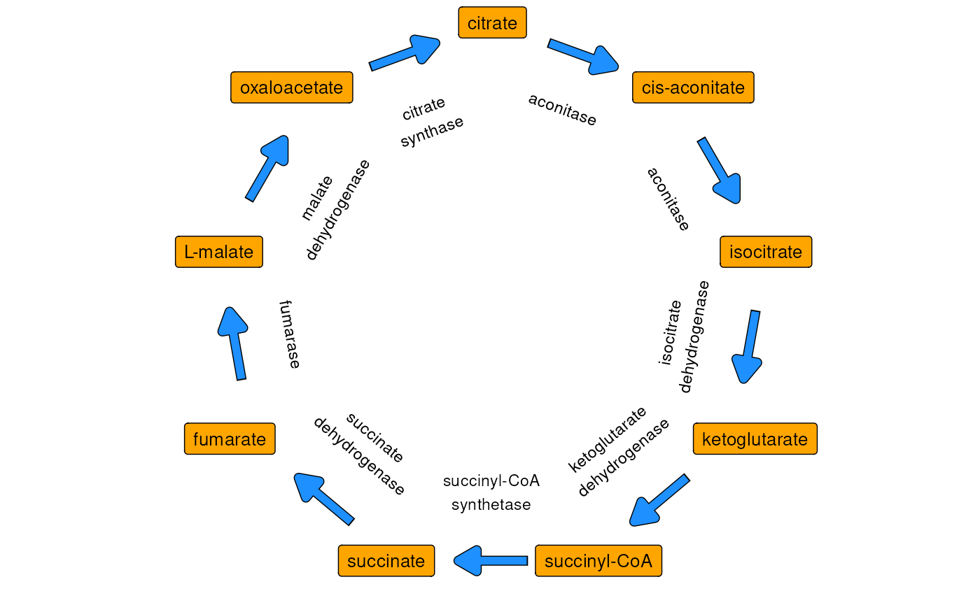 Simplified representation of the Krebs cycle. Orange boxes mark
metabolites and blue arrows represent enyzmes.